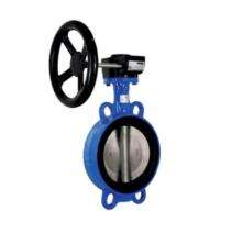 Vinayak 1.5 inch Manual CI Butterfly Valves Wafer Class 150_0