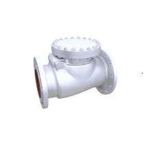 Nupro Swing Type CI Non Return Valves 75 mm Flanged_0