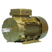 Chawla AM-1 960 rpm Three Phase 15 hp Single Pole Foot Mounted AC Motors_0