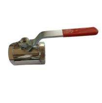 Chhaya Hydraulics 0.5 inch Manual Stainless Steel Ball Valves Threaded_0