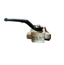 Chhaya Hydraulics 0.5 inch Manual Stainless Steel Ball Valves BSP_0