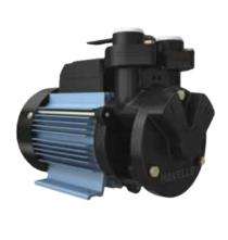 HAVELLS HVFLO1 1 hp 2900 rpm Monoblock Pumps_0