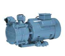 HAVELLS D10 1 hp 2900 rpm Monoblock Pumps_0