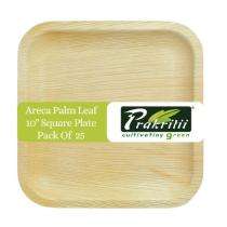 Areca Palm Leaf Disposable Plates Square 10 inch Beige_0
