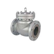 Nupro 50 mm Manual Cast Steel Check Valves Flanged_0