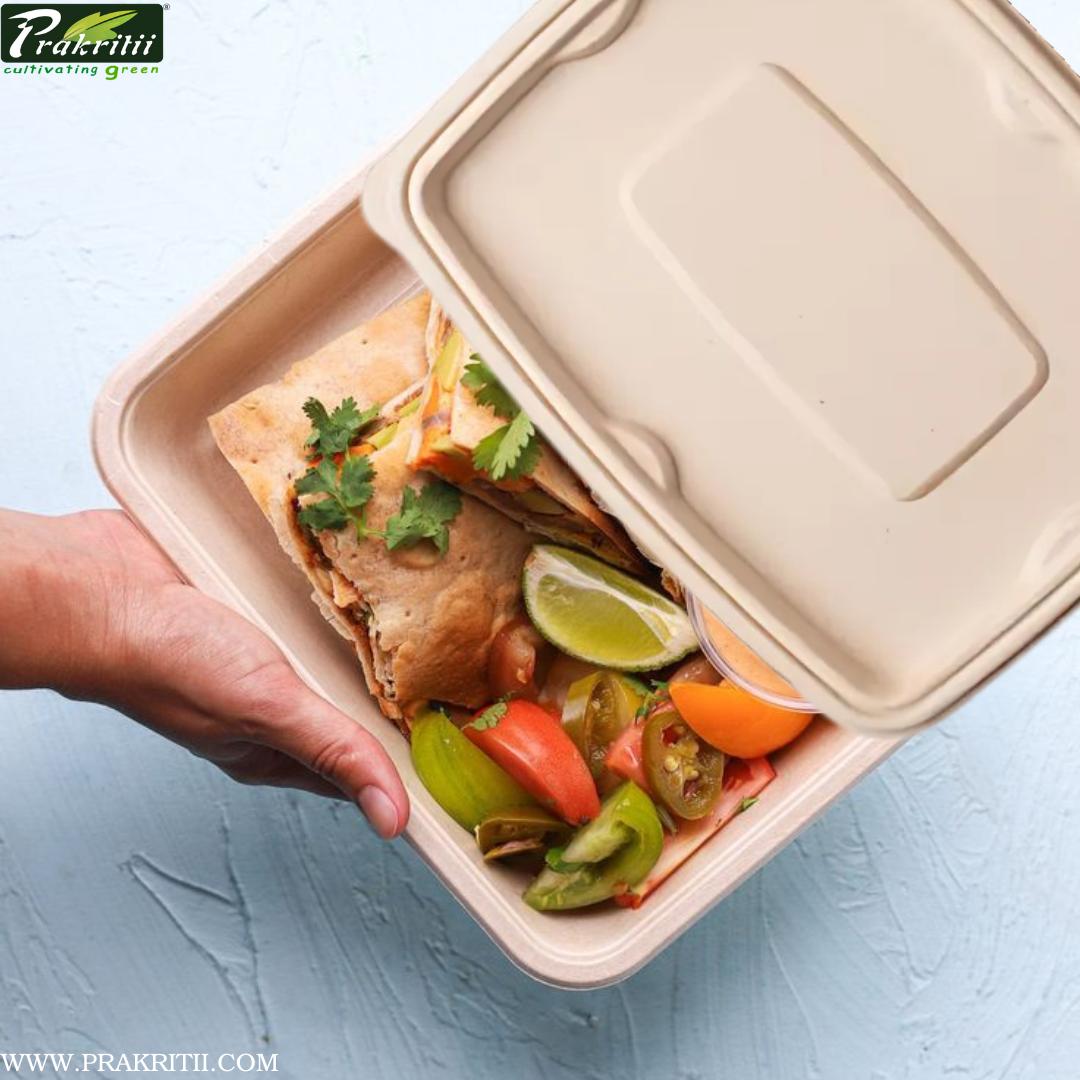 Sugarcane Bagasse Disposable Bowls Rectangular 19.5 x 5.5 x 15.5 cm Off White_2