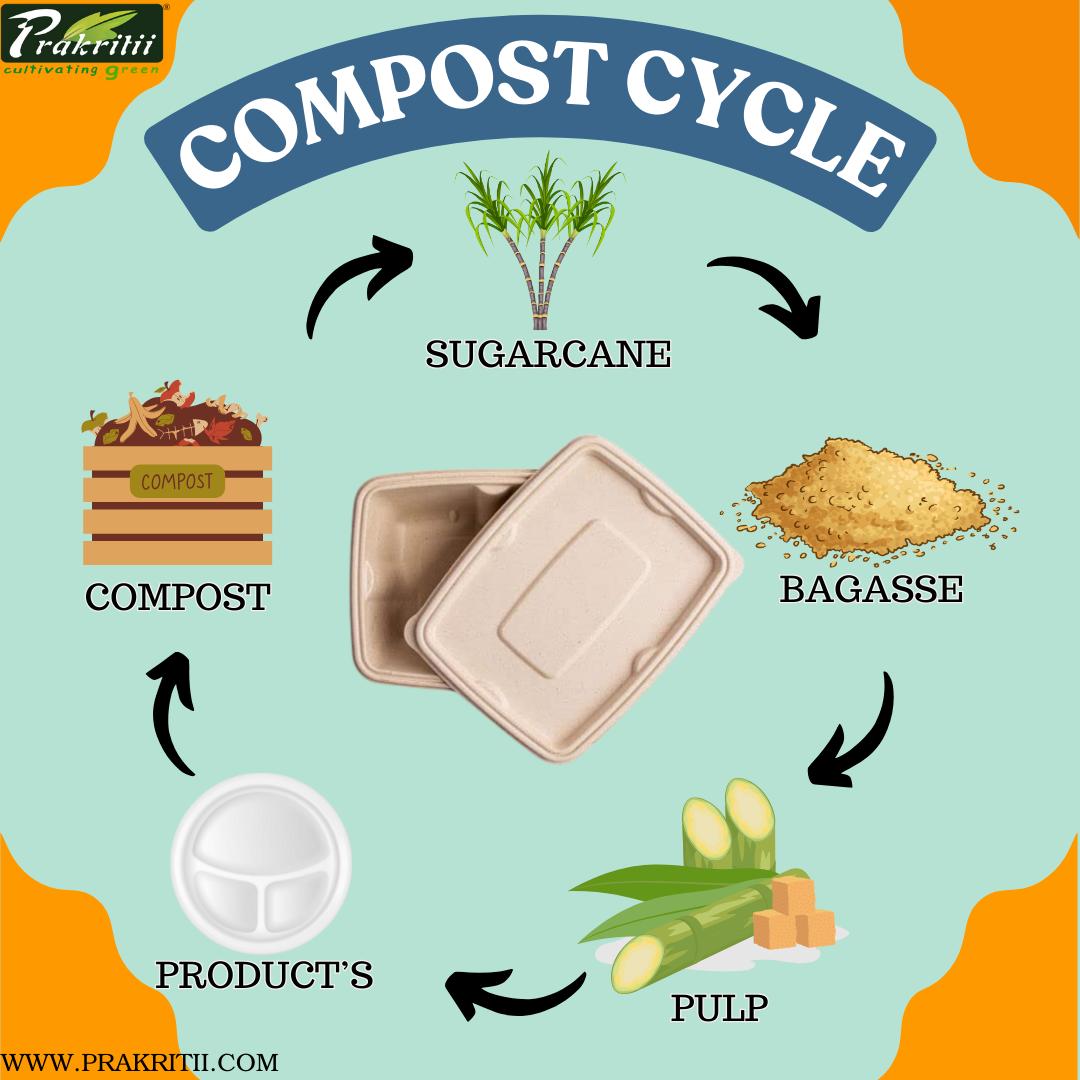 Sugarcane Bagasse Disposable Bowls Rectangular 19.5 x 5.5 x 15.5 cm Off White_4