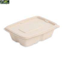 Sugarcane Bagasse Disposable Bowls Rectangular 19.5 x 5.5 x 15.5 cm Off White_0