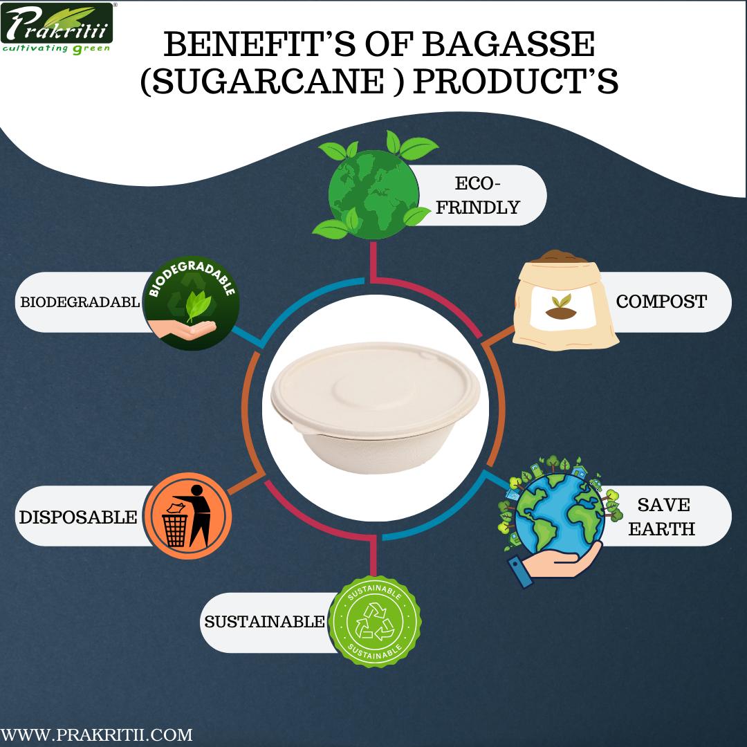 Sugarcane Bagasse Disposable Bowls Round 7 inch Off White_4