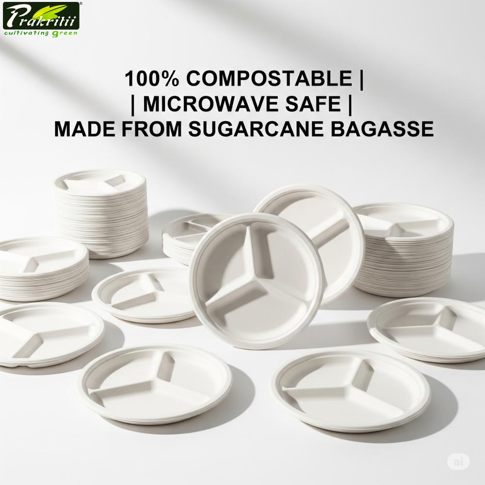 Sugarcane Bagasse Disposable Plates Round 10 inch White_2