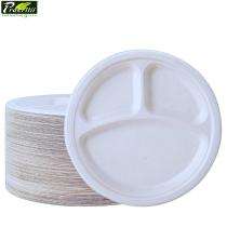 Sugarcane Bagasse Disposable Plates Round 10 inch White_0
