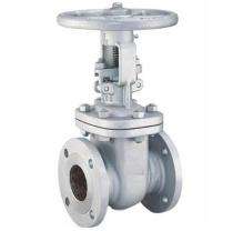 Vinayak 25 mm Manual Cast Steel Gate Valves Flanged_0