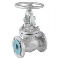 Vinayak CS Globe Valves 80 mm_0