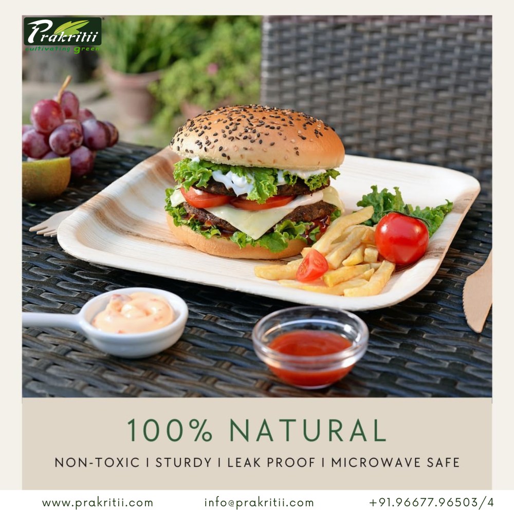 Areca Leaf Disposable Plates Square 8 inch Beige_2