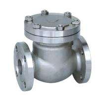 Peco 80 mm Manual Cast Steel Check Valves Flanged_0