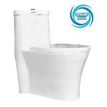 Prayag EWC with Seat Cover and Flush Rocio Floor_0