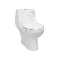 Prayag EWC with Seat Cover and Flush Swirl Floor_0