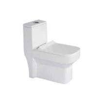 Prayag EWC with Seat Cover and Flush Picasso Floor_0