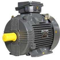 Crompton Greaves XABAAD03121AA1A01A 3000 rpm Three Phase 1.1 hp Double Pole Foot Mounted AC Motors_0