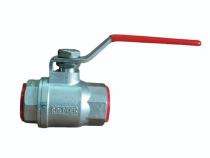 RAJ-TEK 10 mm Manual Stainless Steel Ball Valves Threaded_0