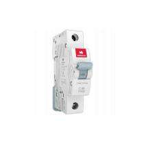 HAVELLS DHMGCSPF006 Single Pole 6 A C Curve MCB_0