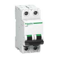 Schneider Electric XC60 Double Pole 63 A B Curve MCB_0