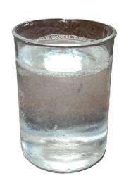 Shree Ganesh Anionic Wetting Agents 0.88_0