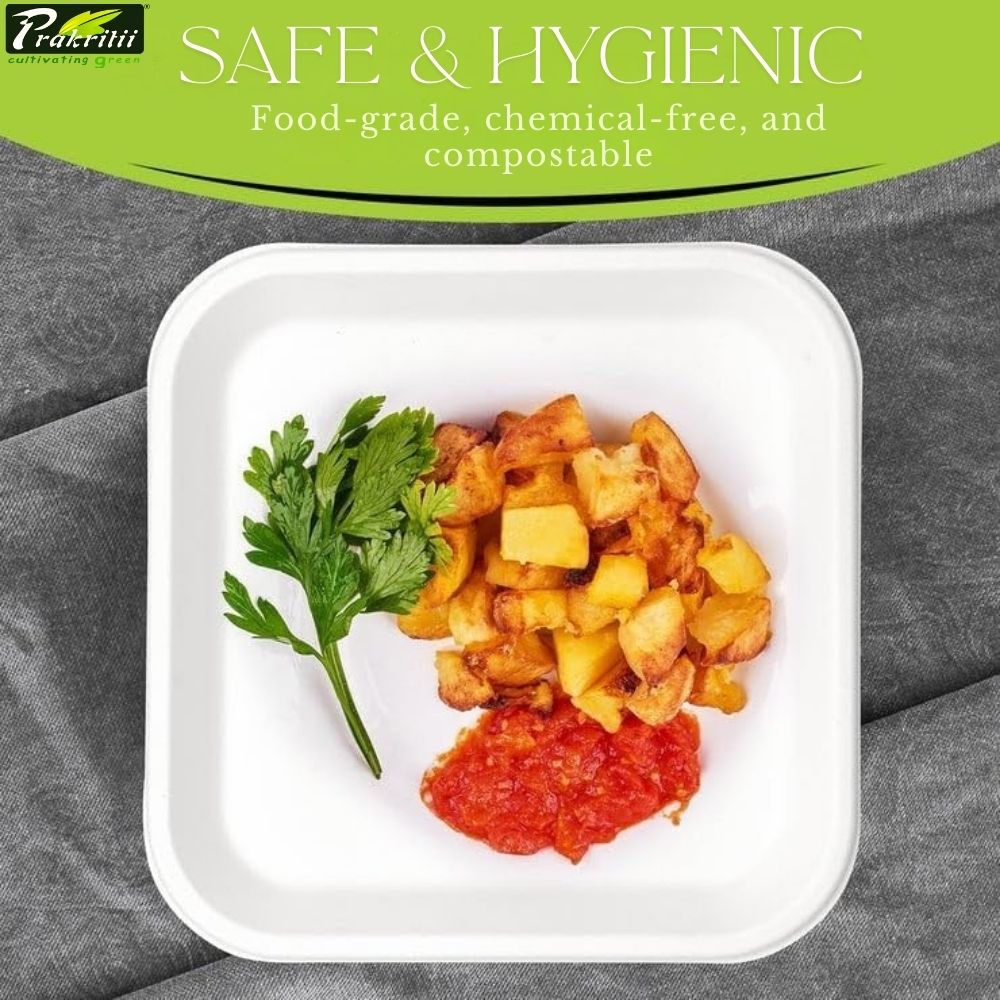 Sugarcane Bagasse Disposable Plates Square 6 inch White_1