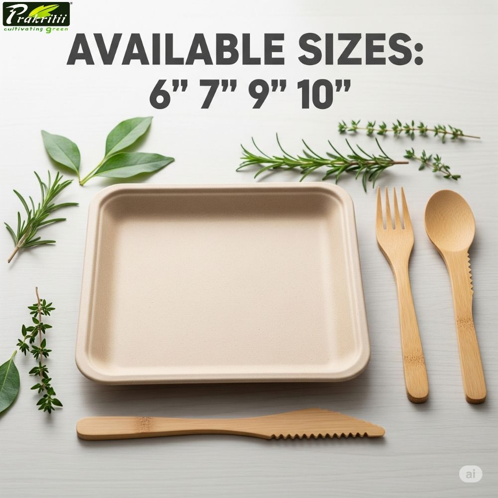 Sugarcane Bagasse Disposable Plates Square 6 inch White_2