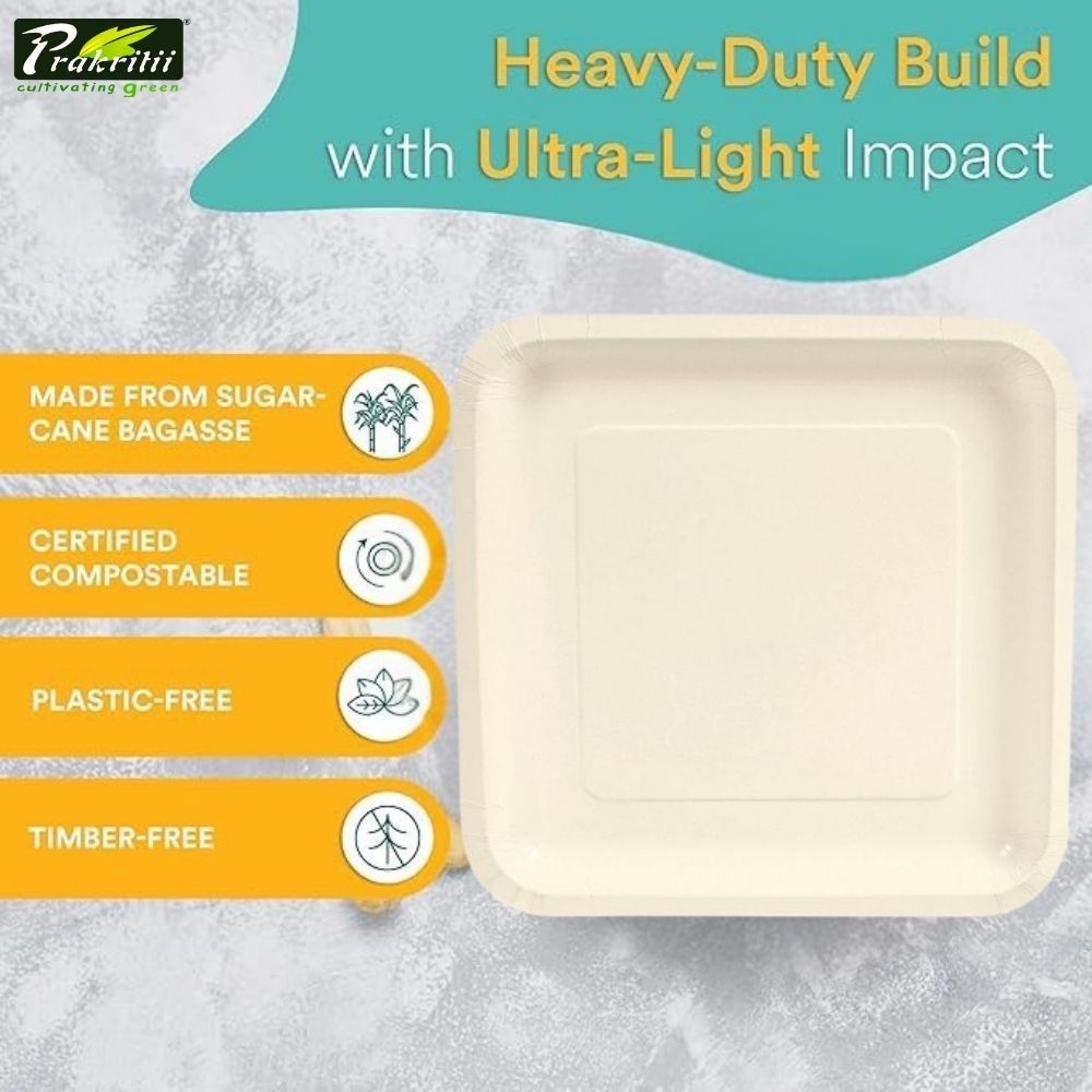 Sugarcane Bagasse Disposable Plates Square 6 inch White_3