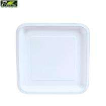 Sugarcane Bagasse Disposable Plates Square 6 inch White_0