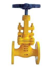 RUDRA 25 mm Manual Carbon Steel Globe Valves Flanged_0