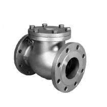 Manual CS Check Valves 20 mm_0