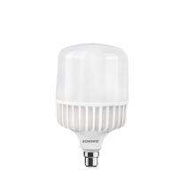 Sonshiv 60 W Warm White B22 1 piece 50000 h LED Bulbs_0