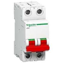 Schneider Electric Double Pole Isolators_0