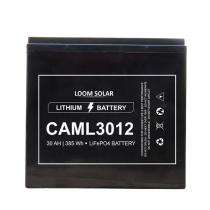 LOOM SOLAR CAML 3012 30 Ah 12 V Lithium Ion Batteries_0