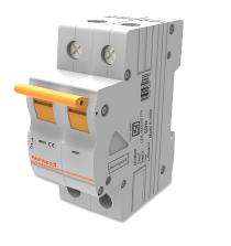 Norwood NSG-124 Double Pole 63 A C Curve MCB_0