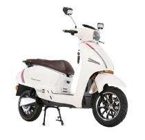 NITRO EV Klassik 200 km 1.5 - 10 kWh 4 hr Electric Bike_0