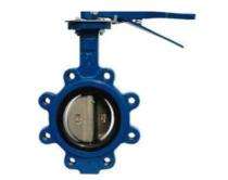 FRETURE 1.5 inch Manual Stainless Steel Butterfly Valve DN 40-600_0