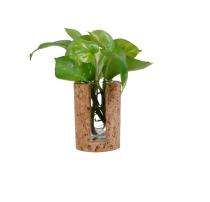 Cork Stand Planter Brown_0