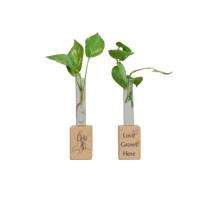 Cork Stand Planter Brown_0