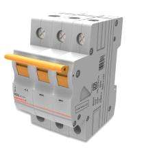 Norwood NSG-125 Three Pole 6 A C Curve MCB_0