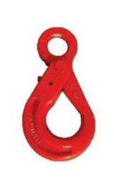 Safelift 20 mm Alloy Steel Eye Hook SLHSL812 12.5 ton_0