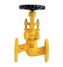 RUDRA 6 inch Manual Carbon Steel Globe Valves Flanged_0