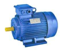 Kirloskar K100 3000 rpm Three Phase 5 hp Double Pole Foot Mounted AC Motors_0