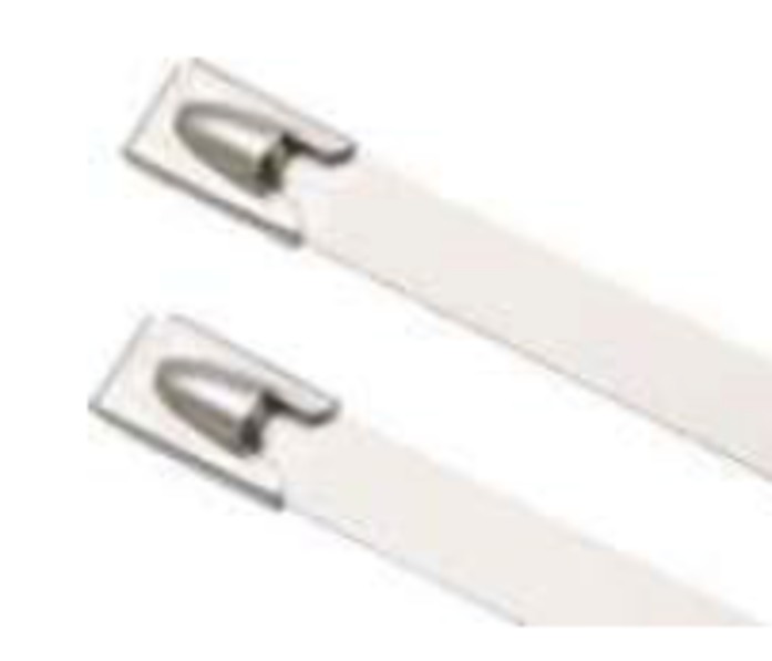 Raychem Stainless Steel 100 mm 4.6 mm Cable Ties Black_1