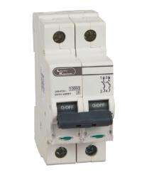 Lauritz Knudsen BB20400C Double Pole 40 A C Curve MCB_0