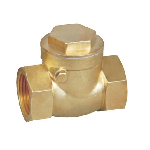 Rajan 20 mm Screwed Gun Metal Check Valves Threaded_0