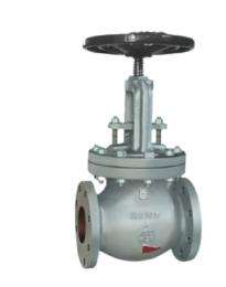 CS Globe Valves CS005 600 mm_0