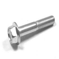PANKAJ INTL M20 Hexagon Flange Bolt 8.8 ISO 4162_0